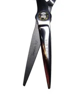 САКУРА СЕЙШІН 5.5